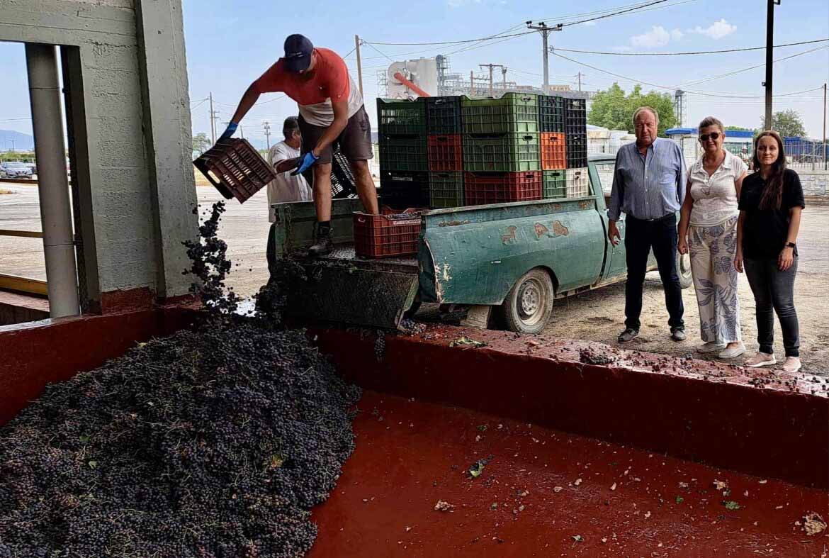 Xekinise-o-trygos_AOS-Tyrnavou