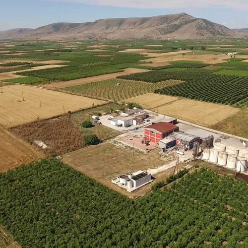 Αποσταγματοποιείο-Αγροτικός Οινοποιητικός Συνεταιρισμός Τυρνάβου-Tirnavos-Winery-Home-apostagmatopoieio