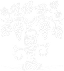 grape-vine-vineyard-engraving