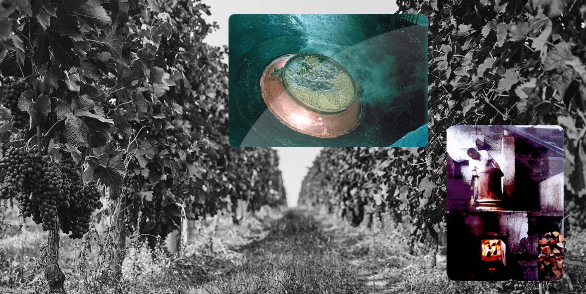 Tirnavos-Winery-AOS-Paradosi