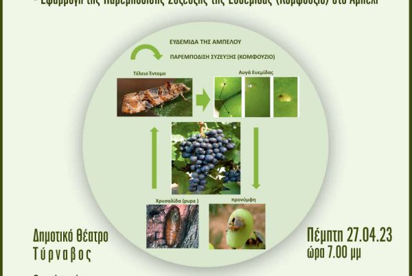 enimerotiki-ekdilosi-me-thema-eydemida