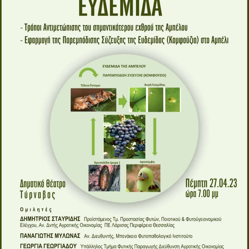 enimerotiki-ekdilosi-me-thema-eydemida