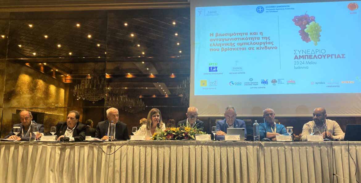 synedrio-sta-ioannina-2