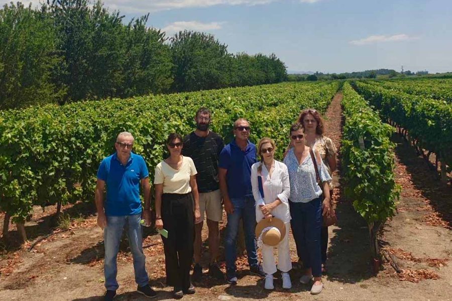 epistimoniko-klimakio-toy-geoponikoy-panepistimioy-athinon