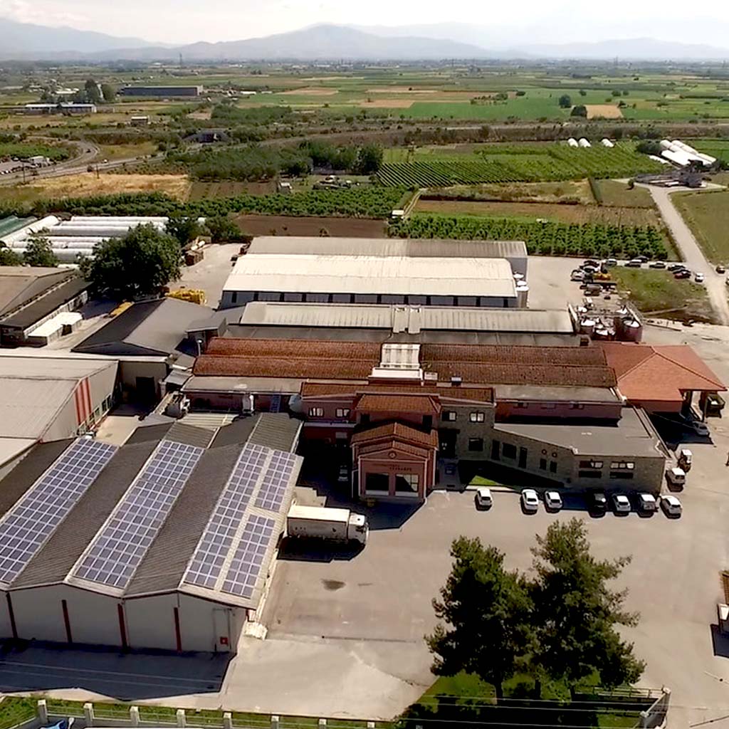 Tirnavos-Winery-Home-Facilities