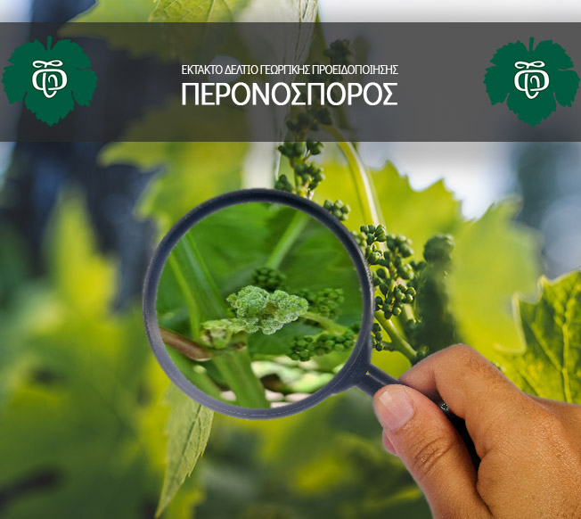 Ektakto-deltio-georgikis-proeidopoiisis_Peronosporos_NEA_AOS-Tirnavou